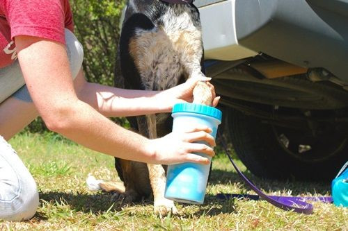 Hordozható kutyalábmosó, kék